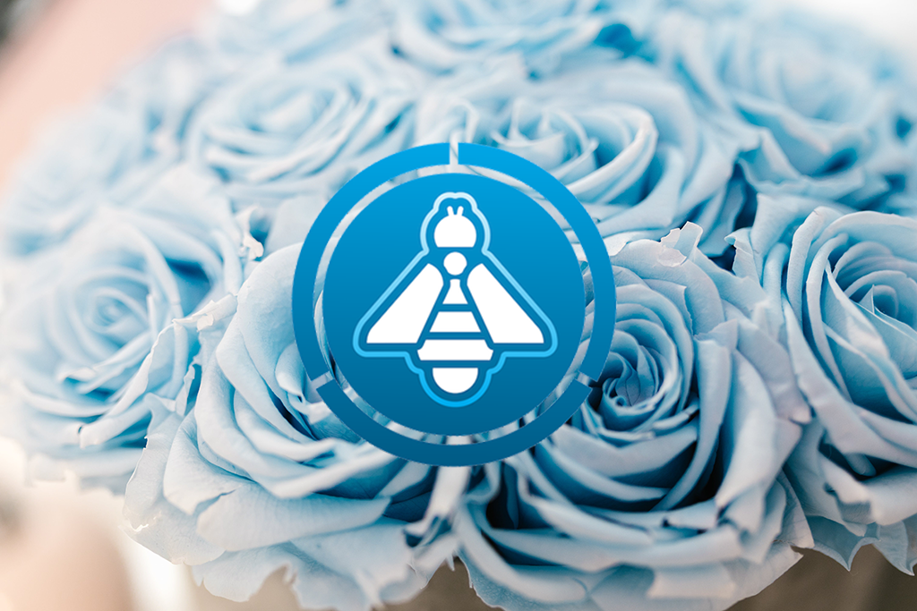 © RDNE Stock project (pexels.com)